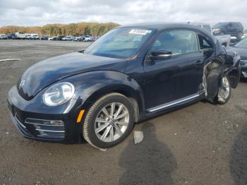  Salvage Volkswagen Beetle