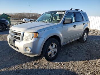  Salvage Ford Escape