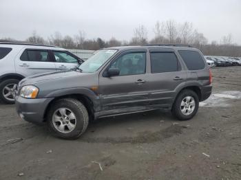  Salvage Mazda Tribute