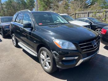  Salvage Mercedes-Benz M-Class