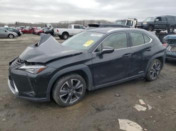  Salvage Lexus Ux