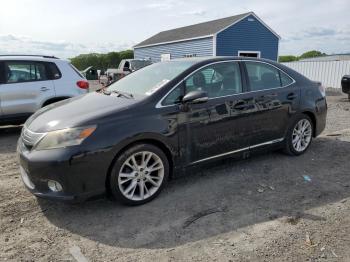  Salvage Lexus Hs