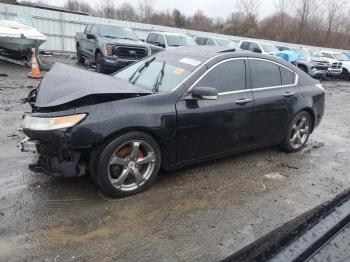  Salvage Acura TL