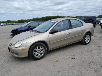  Salvage Dodge Neon