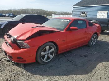  Salvage Ford Mustang