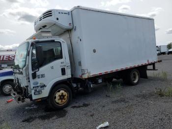  Salvage Isuzu Nrr