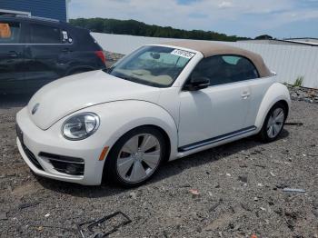  Salvage Volkswagen Beetle