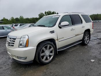  Salvage Cadillac Escalade