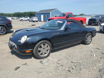  Salvage Ford Thunderbird