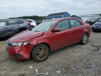  Salvage Kia Forte