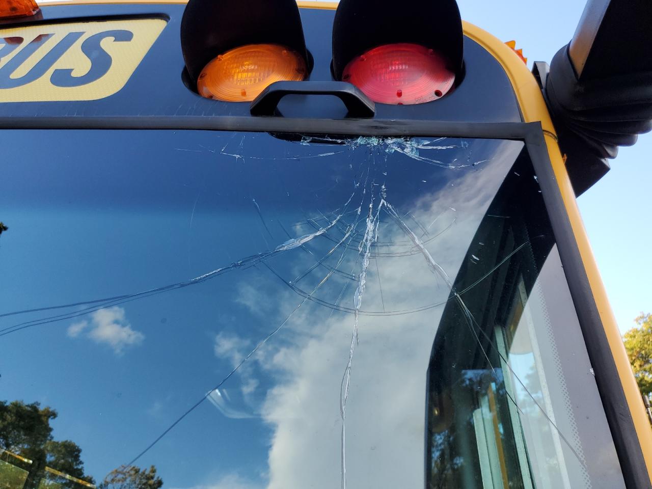 Thomas Saf-t-line Image 8