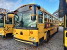 Thomas School Bus Image 4