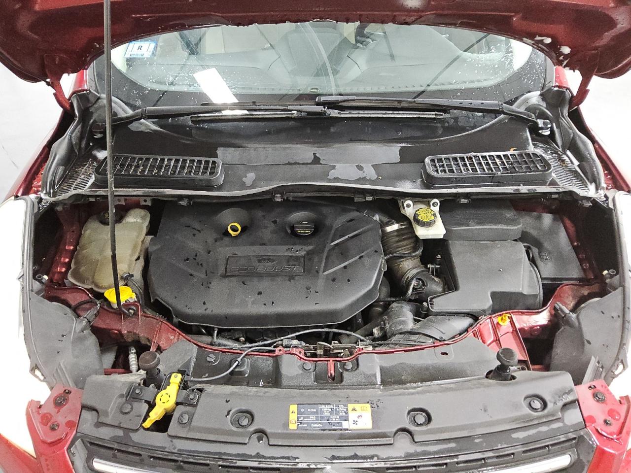 Ford Escape Se Image 11