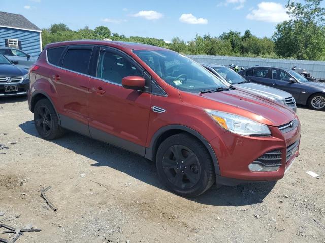 Ford Escape Se Image 5
