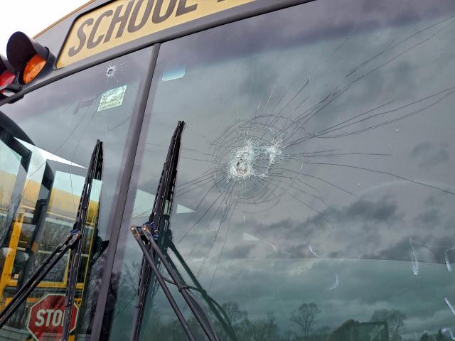 Thomas Saf-t-line Image 8