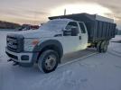 Ford F-450 Super Duty Image 1