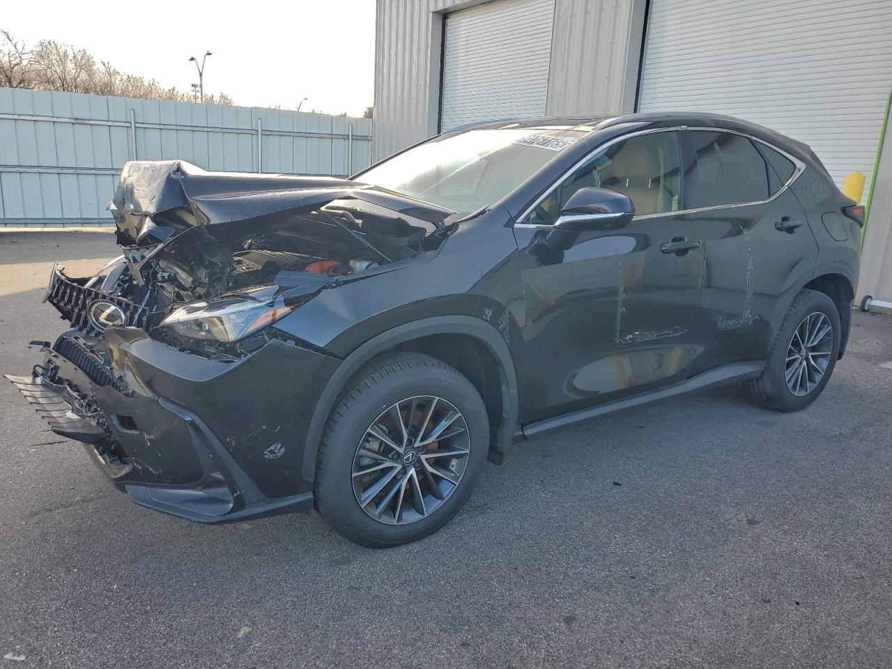 Lexus NX 350h Base Image 1