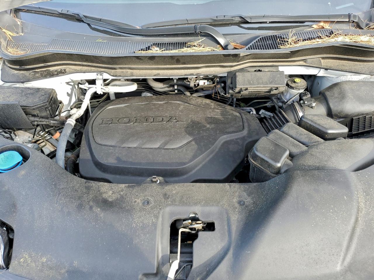 Honda Passport Sport Image 11