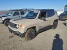 Jeep Renegade Trailhawk Image 1