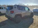 Jeep Renegade Trailhawk Image 2