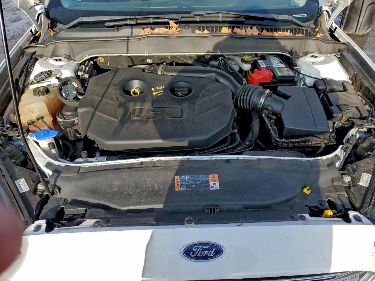 Ford Fusion Se Image 11