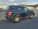 Ford Escape Xlt Image 4