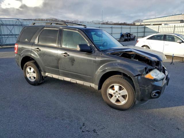 Ford Escape Xlt Image 3