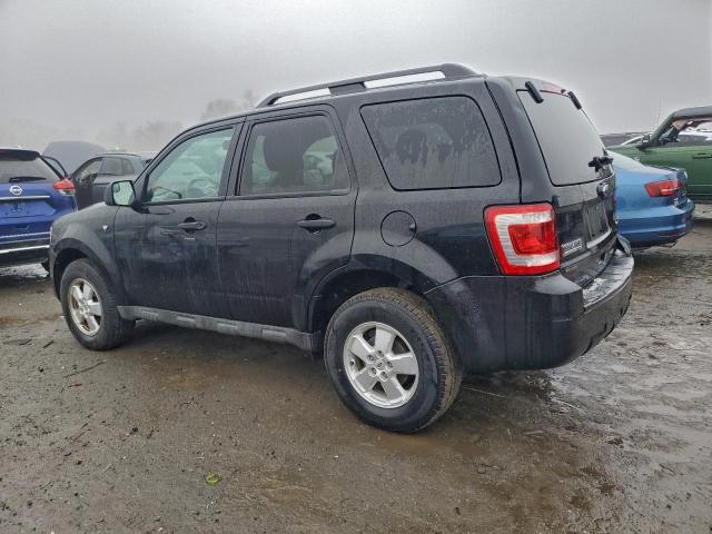 Ford Escape Xlt Image 12